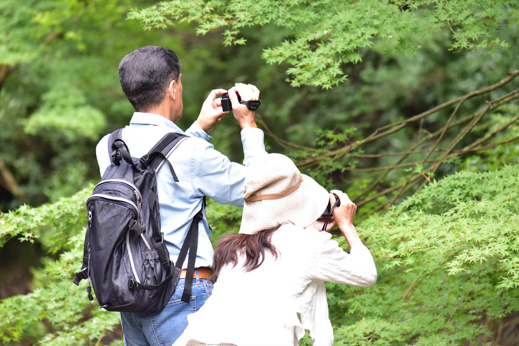 イベント事業（写真旅行イベント）